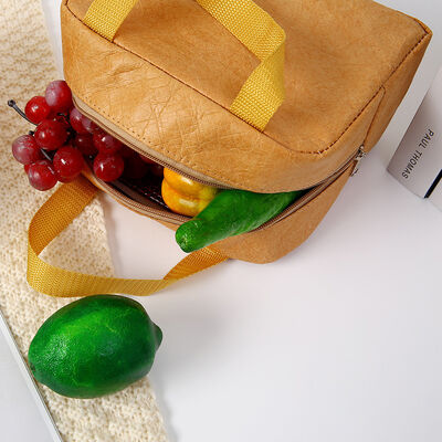 DuPont Paper Lunch Bag Insulated Carrier Large Capacity Commuting Portable Bag Pack Eco-Friendly Waterproof with Custom LOGO