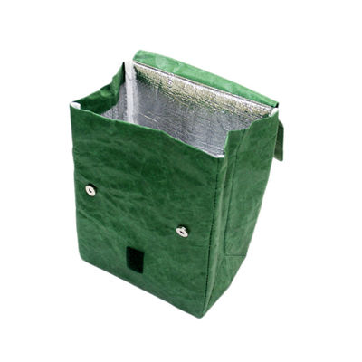 Eco-friendly Dupont Picnic Cooler Bag Waterproof Tyvek Paper Insulated Lunch Bag
