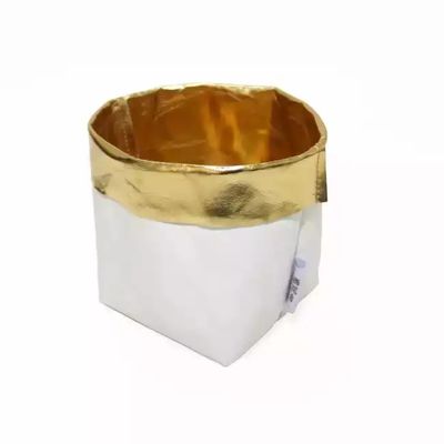 0.55mm Washbleクラフト紙の貯蔵袋の軽く再使用可能な紙袋の実生植物の鍋