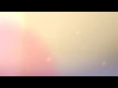 ラップトップは袋を運ぶ